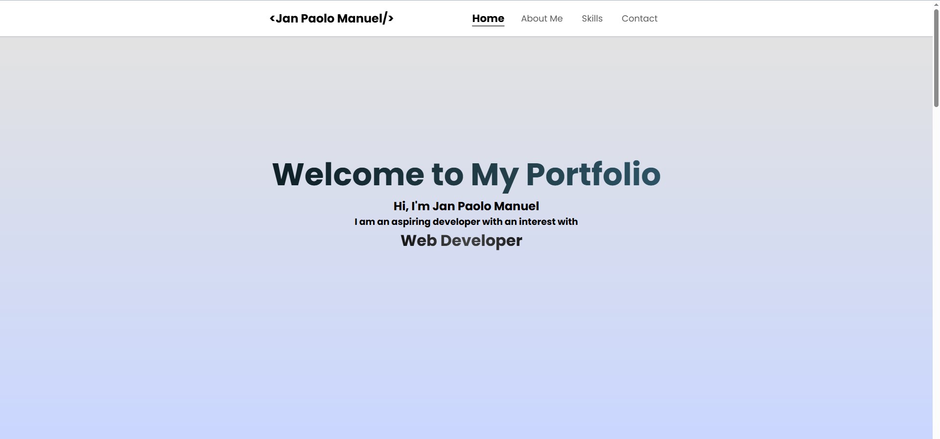 Portfolio Preview